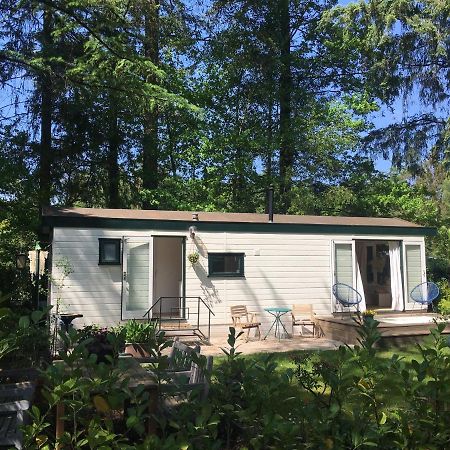 Sfeervol Vakantiehuisje In Bosrijke Omgeving Vorden Εξωτερικό φωτογραφία