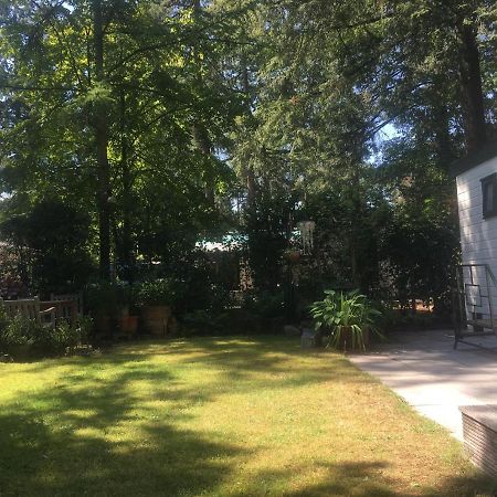 Sfeervol Vakantiehuisje In Bosrijke Omgeving Vorden Εξωτερικό φωτογραφία