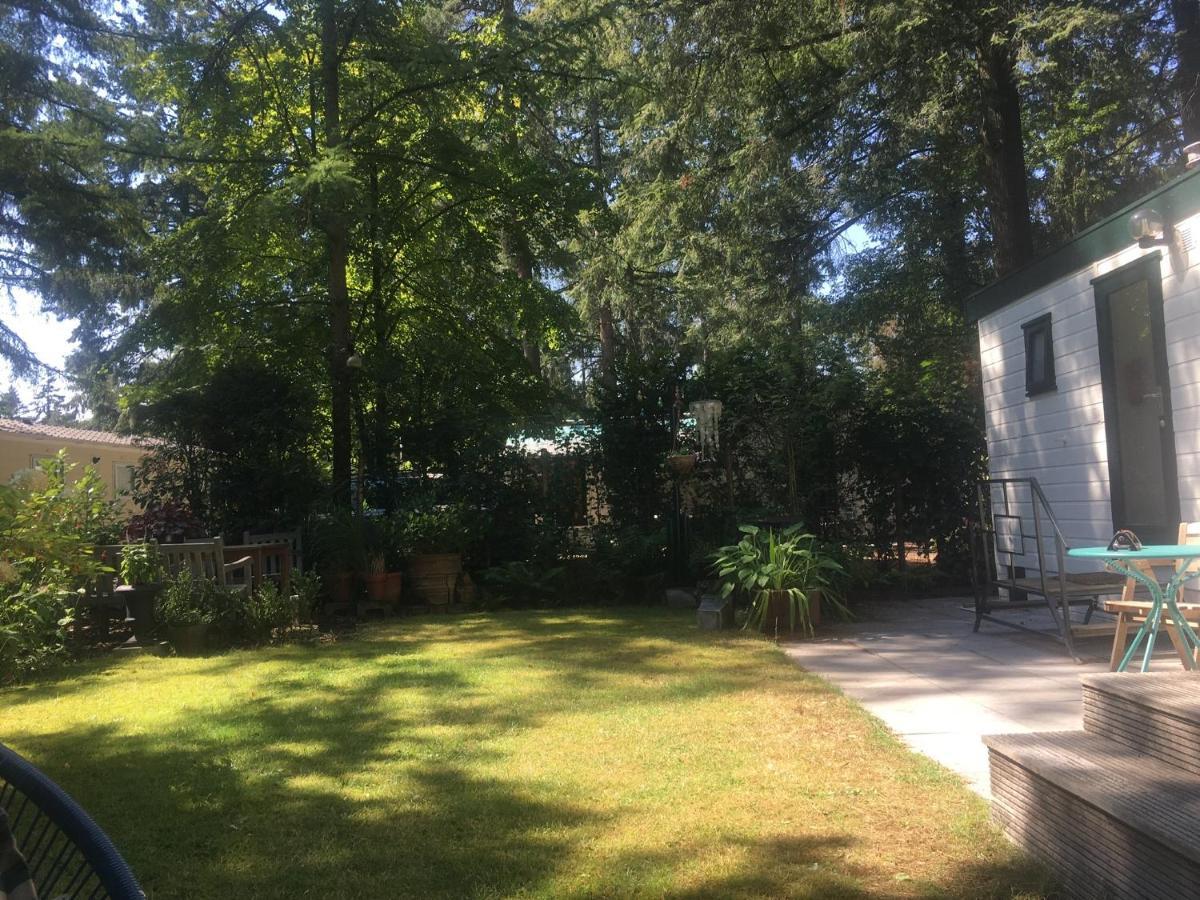 Sfeervol Vakantiehuisje In Bosrijke Omgeving Vorden Εξωτερικό φωτογραφία