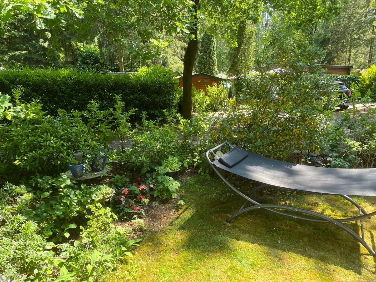 Sfeervol Vakantiehuisje In Bosrijke Omgeving Vorden Εξωτερικό φωτογραφία